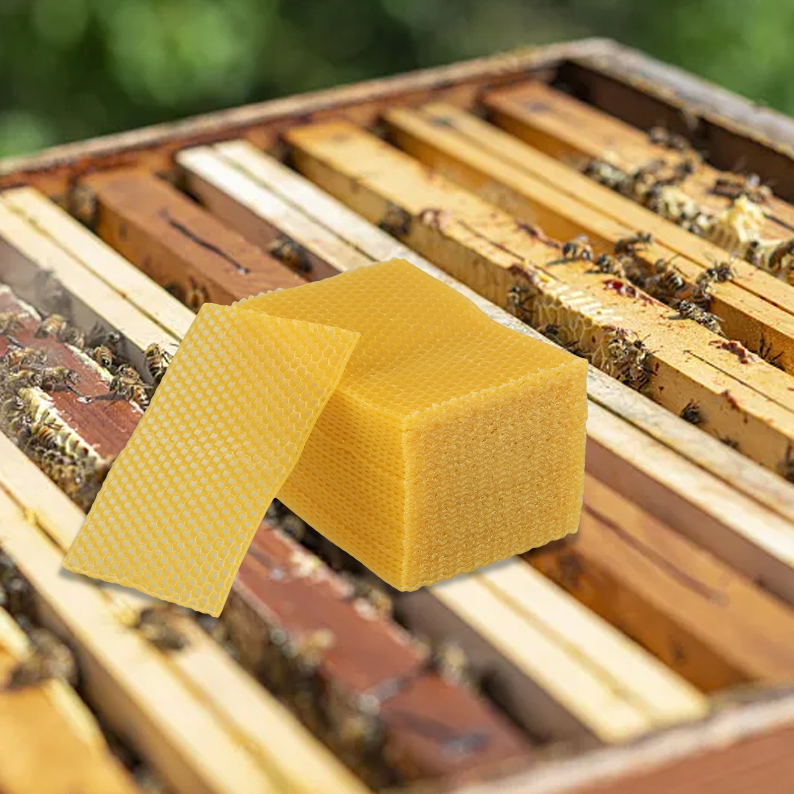 แผ่นรังผึ้งขนาด 5.24 x 3.54 นิ - Candle Making Kit Beeswax บทวิจารณ์และราคา